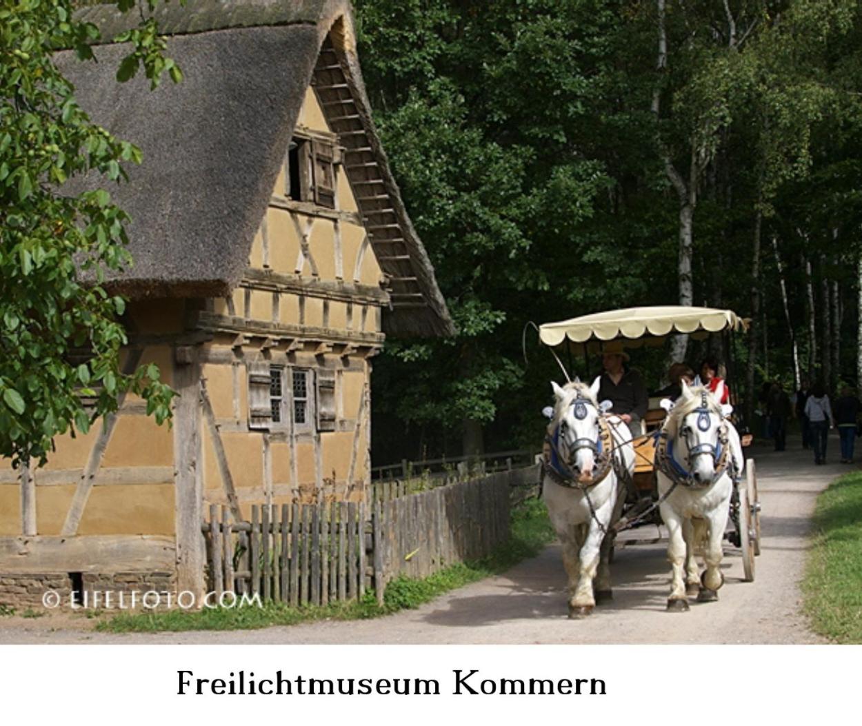 Ferienwohnung Gross A Schleiden Exterior foto